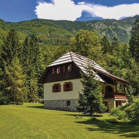 Chalet Primus Near Soca Gorge - Happy Rentals Exterior foto